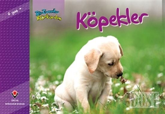 Bir Zamanlar Korkardım - Köpekler